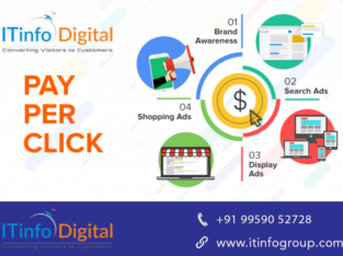 PPC Services in Hyderabad – Info Digital