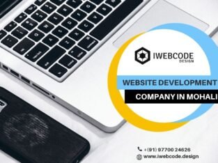 Web Development Company in Mohali