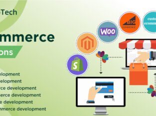 eCommerce Web Development Company | PTI WebTech