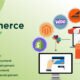 eCommerce Web Development Company | PTI WebTech