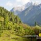 Amazing Kashmir Tour Package from Kolkata – NatureWings