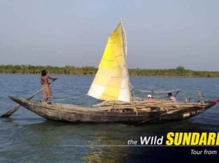 25th & 31st New Year Special Sundarban Package Tour From Kolkata – Limited Rooms, Book Now