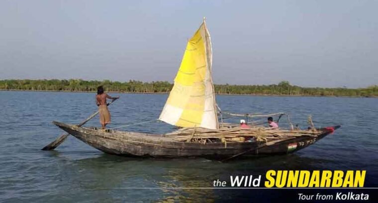 25th & 31st New Year Special Sundarban Package Tour From Kolkata – Limited Rooms, Book Now