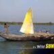 25th & 31st New Year Special Sundarban Package Tour From Kolkata – Limited Rooms, Book Now